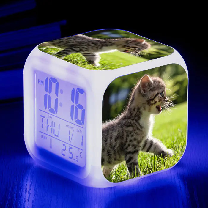 Cat-Themed Colorful Square Alarm Clock – Cute & Fun