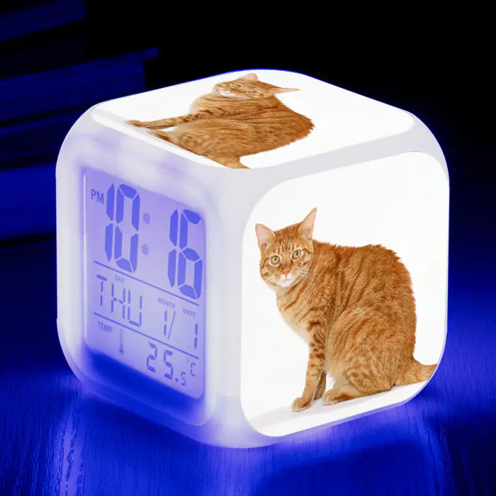 Cat-Themed Colorful Square Alarm Clock – Cute & Fun