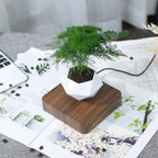 Floatora Hanging & Table Planter