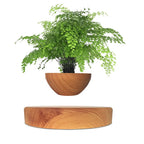 Floatora Hanging & Table Planter