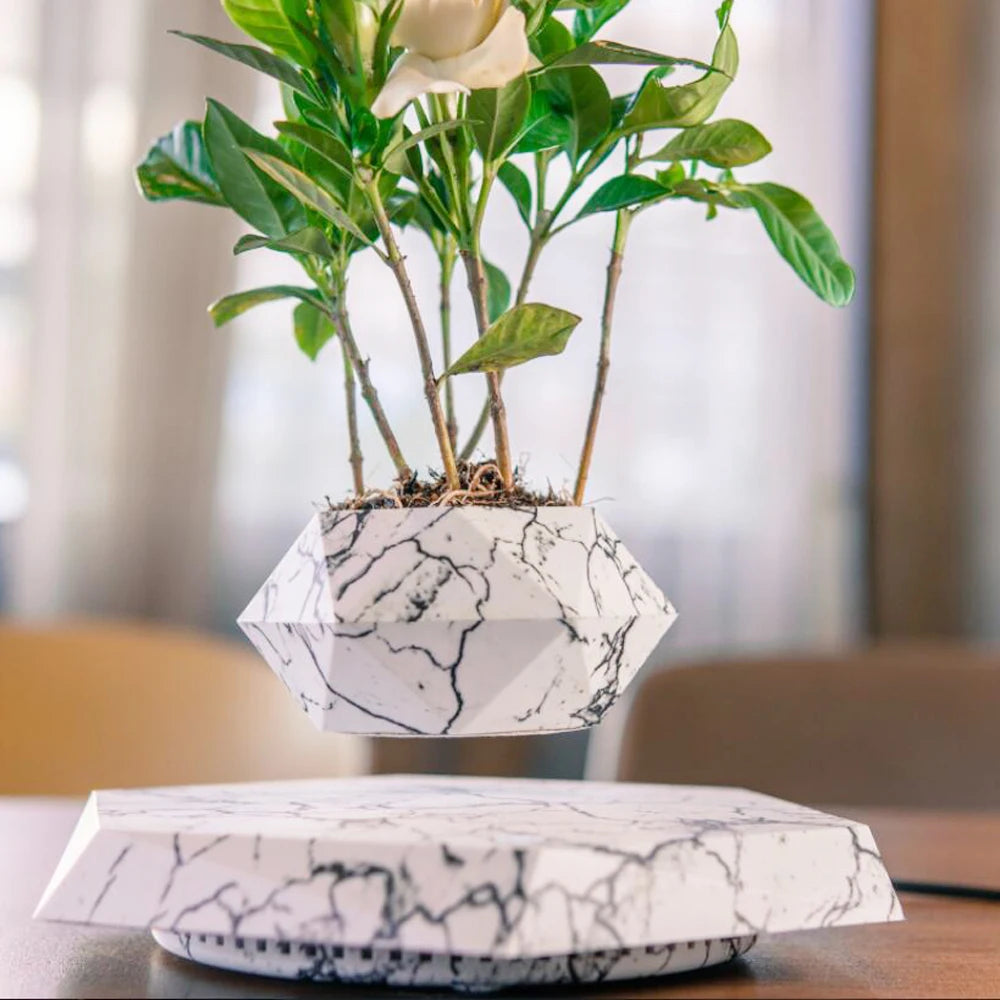Floatora Hanging & Table Planter