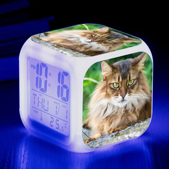 Cat-Themed Colorful Square Alarm Clock – Cute & Fun