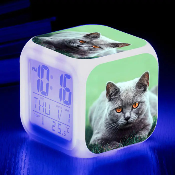 Cat-Themed Colorful Square Alarm Clock – Cute & Fun