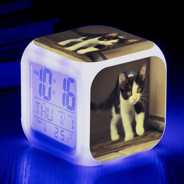 Cat-Themed Colorful Square Alarm Clock – Cute & Fun